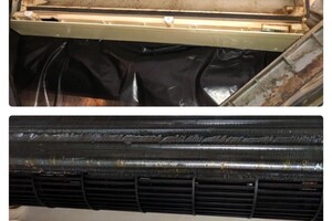 Лебеденко Олег Владимирович — ? пылевой грибок встречается в 80% наших НОВЫХ клиентов!; Уничтожаем с гарантией! ? — Портфолио №3