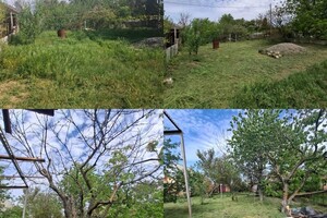 Лепило Василий Владимирович — Портфолио №1