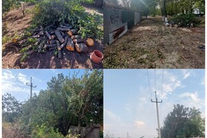 Лепило Василий Владимирович — Портфолио №2