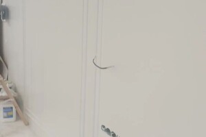 Максим Максим Александр — Портфолио №1