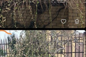 Малхасьян Георгий Арсенович — Портфолио №5