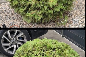 Малхасьян Георгий Арсенович — Портфолио №6