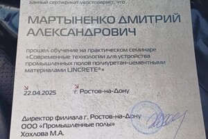 Мартыненко Дмитрий Александрович — Диплом / сертификат №1