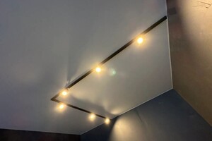 Милешин Александр Витальевич — Накладной трек на натяжном потолке — Портфолио №5