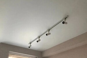 Милешин Александр Витальевич — Матовый натяжной потолок с внешним трековым освещением. — Портфолио №7