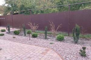 Момжиев Георгий Константинович — Портфолио №4