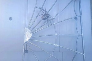 Мороз Сергей Иванович — Портфолио №69