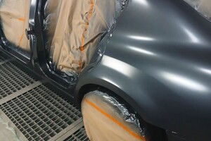 Надеевец Сергей Сергеевич — полный окрас инфинити — Портфолио №10