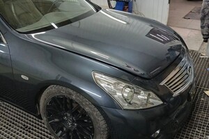 Надеевец Сергей Сергеевич — полный окрас инфинити — Портфолио №9