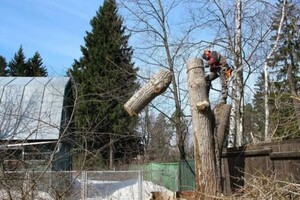 Османян Ашот Геворкович — Портфолио №11