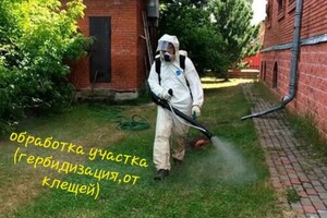 Османян Ашот Геворкович — Портфолио №15