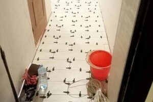 Парфенов Дмитрий Викторович — Портфолио №122