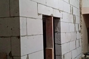 Петросян Альберт Ишханович — Портфолио №2