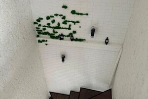 Пикулева Диана Андреевна — Портфолио №3