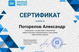 Диплом / сертификат №3 — Погорелов Александр Александрович