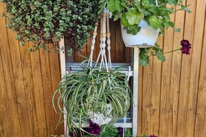 Поспелова Лилия Владимировна — Озеленение — Портфолио №7