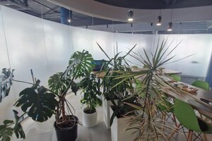 Поспелова Лилия Владимировна — Уход за комнатными растениями — Портфолио №9