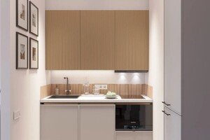 Радван Анна Валерьевна — кухня — Портфолио №43