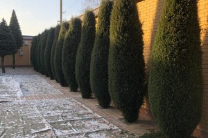 Семенченко Дмитрий Николаевич — Портфолио №10