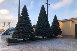 Семенченко Дмитрий Николаевич — Портфолио №11