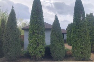 Семенченко Дмитрий Николаевич — Портфолио №8