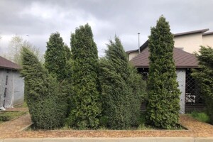 Семенченко Дмитрий Николаевич — Портфолио №9