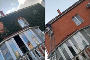 Семенцов Богдан Олегович — Обрезка винограда на частном доме — Портфолио №3