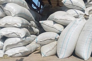 Шамсутдинов Валерий Ринатович — Портфолио №5