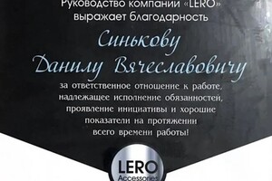 Диплом / сертификат №1 — Синьков Данил Вячеславович