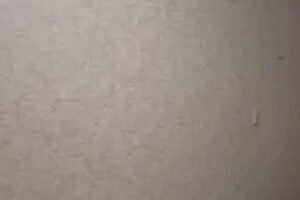 Стародубов Александр Максимович — Портфолио №54