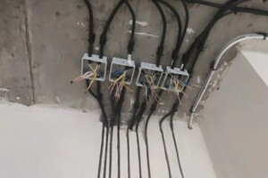 Тимошенко Дмитрий Игоревич — Портфолио №3