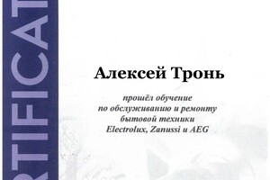 Диплом / сертификат №3 — Тронь Алексей Алексеевич