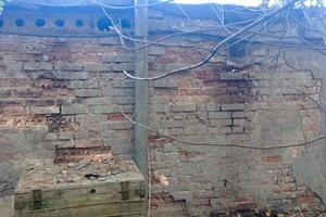 Умарзода Камранбек Умарович — Портфолио №11