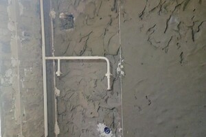 Умарзода Камранбек Умарович — Портфолио №4