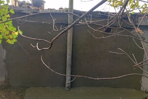 Умарзода Камранбек Умарович — Портфолио №8