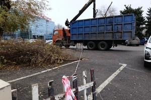 Ванидовский Евгений Игоревич — Вывоз порубочных остатков ломовозом — Портфолио №11