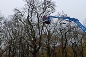 Ванидовский Евгений Игоревич — Удаление дерева с вышки — Портфолио №12