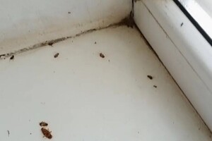 Васильев Александр Викторович — Портфолио №10