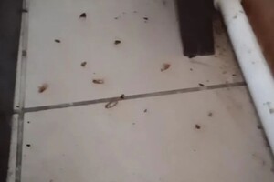 Васильев Александр Викторович — Портфолио №11