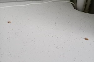 Васильев Александр Викторович — Портфолио №12