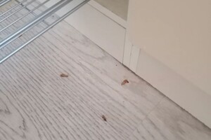 Васильев Александр Викторович — Портфолио №13