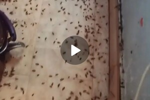 Васильев Александр Викторович — Портфолио №9