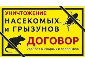 ?Внимание?; ?Цены значительно снижены?; Профессионально, быстро и анонимно 100 % уничтожаем любые виды насекомых:... — Виниченко Егор Михайлович