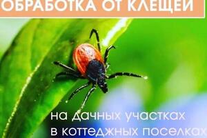 ?Внимание?; ?Цены значительно снижены?; Профессионально, быстро и анонимно 100 % уничтожаем любые виды насекомых:... — Виниченко Егор Михайлович