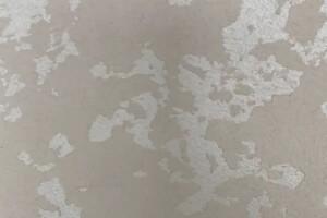 Волкова Елена Васильевна — Карта мира на шёлке — Портфолио №11