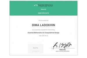 Диплом / сертификат №3 — Ладохин Дмитрий Геннадьевич