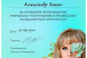 Диплом / сертификат №1 — Бакал Александр Сергеевич