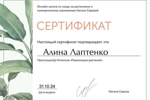 Диплом / сертификат №6 — Лаптенко Алина Андреевна