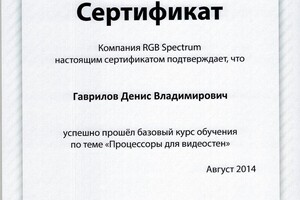 Диплом / сертификат №11 — Гаврилов Денис Владимирович