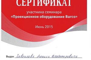 Диплом / сертификат №3 — Гаврилов Денис Владимирович